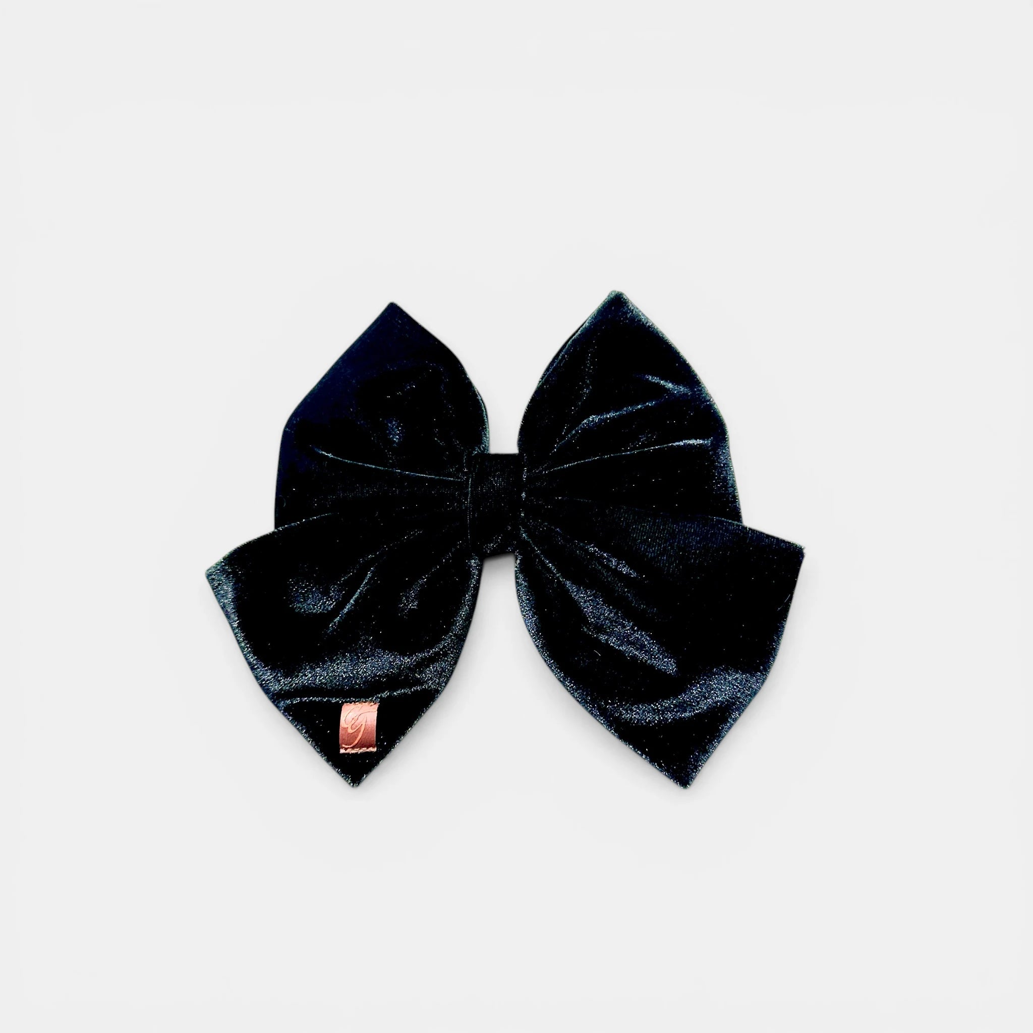 Mariposa Grande - Unicolor - Carolina González